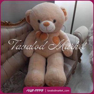 اجاره خرس تدی